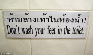3EAE092600000578-4356352-Although_it_may_not_seem_appealing_to_you_or_I_this_restaurant_h-a-47_1.jpg