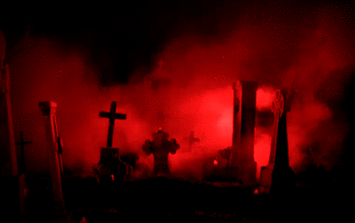 3.gif