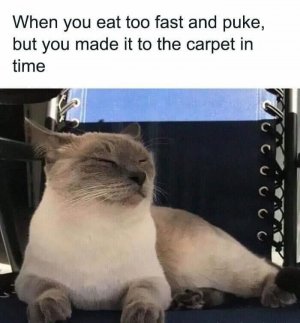 FB_IMG_1758201620396.jpg