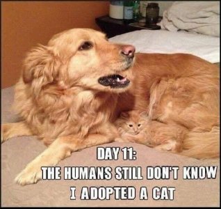 FB_IMG_1757444187869.jpg