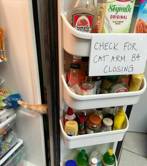funny-cat-notes-signs-warnings-pictures-6.jpg