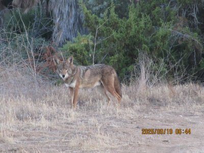 IMG_1564.JPG