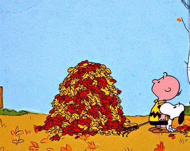 tumblr_cc92e2147e314067b7f097b7ad0761d2_f3ee4013_540.gif.gif