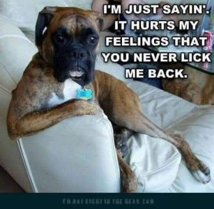 FB_IMG_1758307571707.jpg