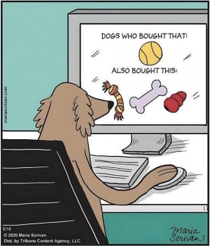 Amazon canine section.jpg