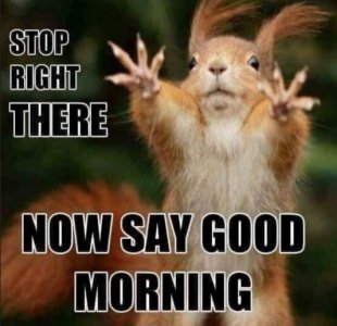 stopmorning.JPG