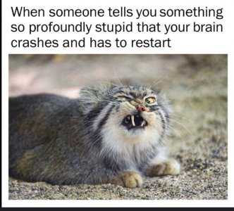 zZ.jpg