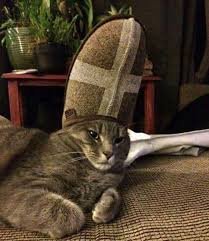Pope Kitty .jpeg