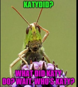 l9ythyr.jpg
