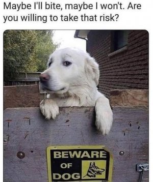 a dpg bite joke.jpg