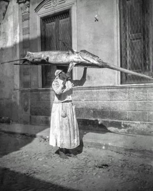 A woman from Bagnara carrying a swordfish on her head Calabria, Italy, 1945.jpg