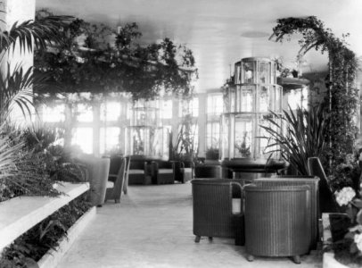 winter garden 2.jpg