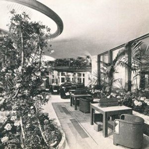 winter garden.jpg