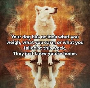 FB_IMG_1758384404583.jpg