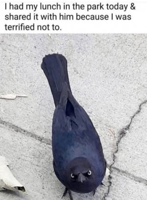 1758543914016.jpeg