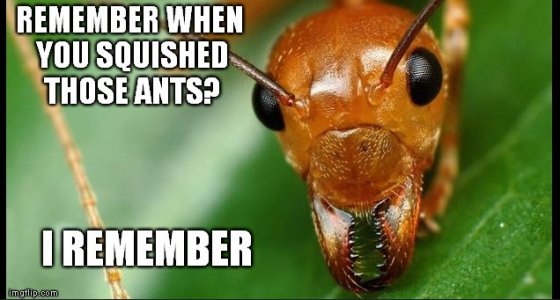 ntmnh.jpg