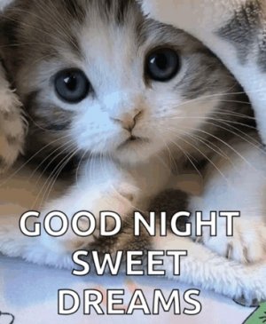 Good night, sweet dreams.jpg