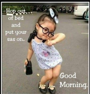 sassmorning.JPG