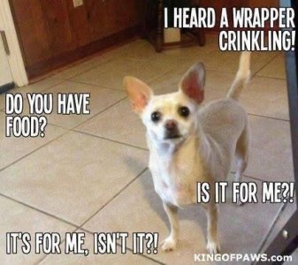 IMG_2843.jpeg