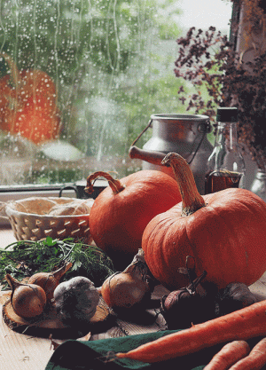 Rainy Autumn Day.gif