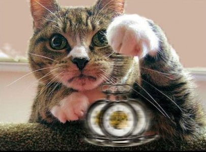 Hypnotist @.jpg