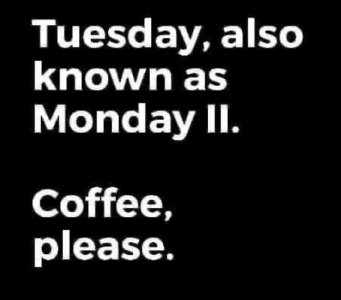 a tuesdaytoo.jpg