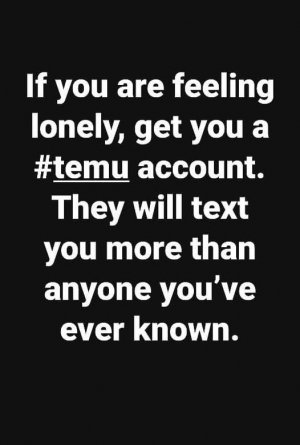 a temu lonely texts joke.jpg