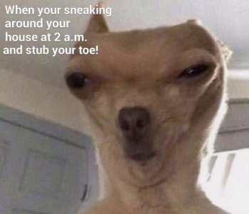 FB_IMG_1758649451363.jpg