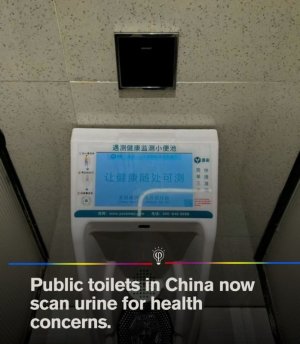 bafkreifyfnidadewnobp3wxcxaasilzs6ypiienynqezpm4igtyu2h357q~2.jpg