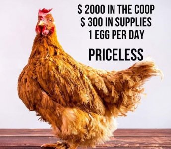550496468_10106329609394584_6141369716103646320_n.jpg