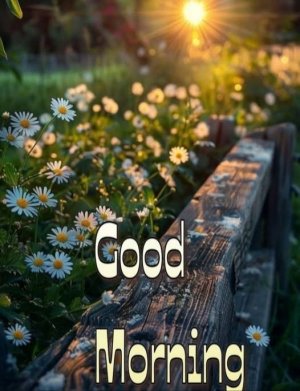 a good morning3.jpg