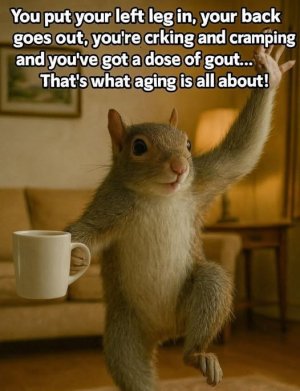 a senior joke2.jpg