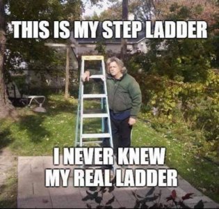 Ladder @.jpg