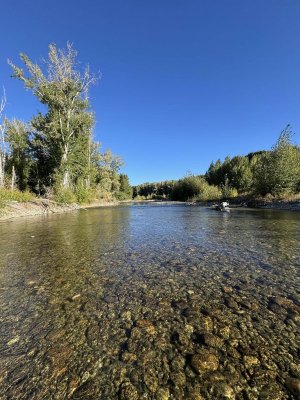 upriver.jpeg