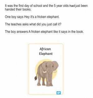 elephant.jpg