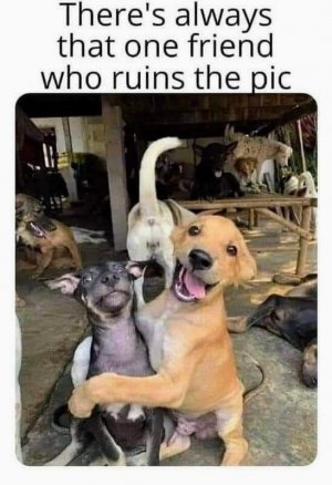 FB_IMG_1678828596816~2.jpg