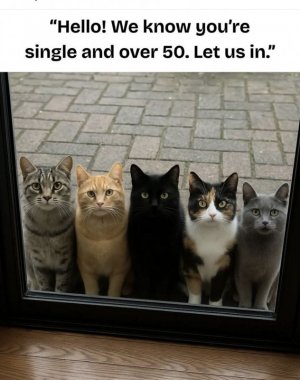 0.jpg