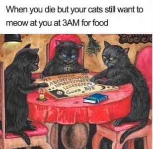 FB_IMG_1758752905199.jpg