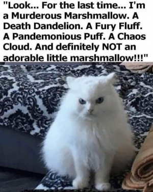 fd7dde39a623e518f53ed913ee727045.jpg