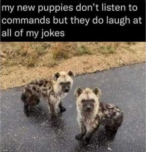 FB_IMG_1758773376127.jpg