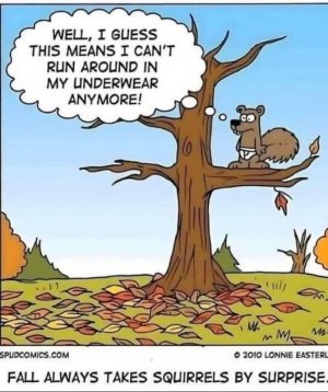 FB_IMG_1758648922367.jpg