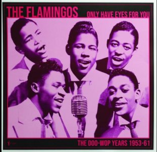 flamingoes2.jpg