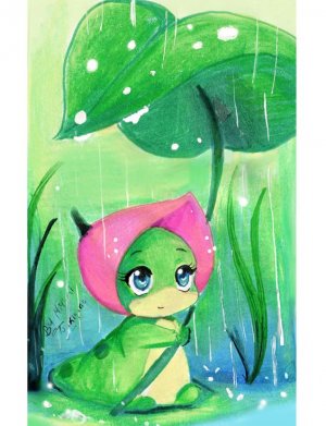 rain11.jpg