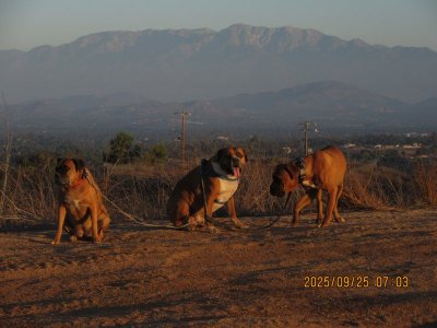 IMG_1736.JPG