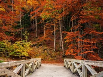 Autumn scene.jpg