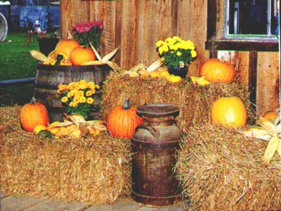 Fall_Produce.jpg