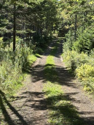 IMG_0630.jpeg