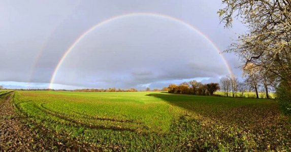  Rainbow 2.jpg