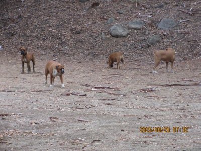 IMG_1809.JPG