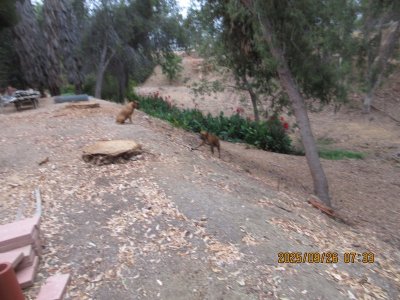 IMG_1811.JPG